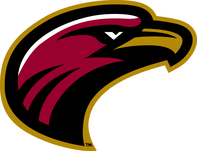 Louisiana-Monroe Warhawks 2006-Pres Alternate Logo v7 iron on transfers for fabric